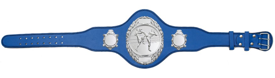 THAI BOXING TITLE BELT - PLT286/S/TBOS-4 COLOURS THAI BOXING TITLE BELT - PLT286/S/TBOS-4 COLOURS